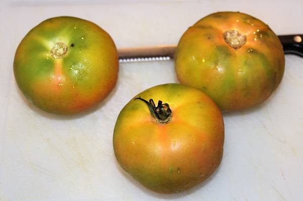 Pomodori freddi farciti