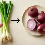 Cipollotti o cipolle? Saper riconoscere il momento giusto per arricchire antipasti e insalate